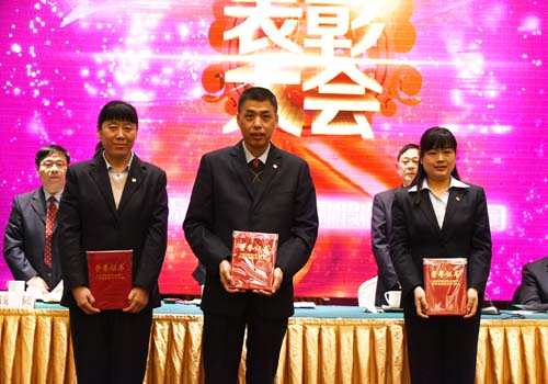 2016年朝陽集團(tuán)“服務(wù)標(biāo)桿”先進(jìn)個人